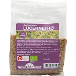 Lucernefrø 200 g økologisk - også til spiring